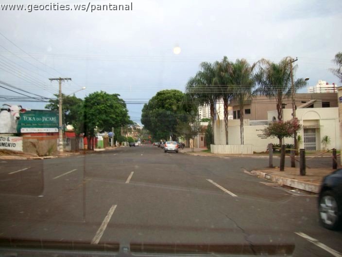 2703_geocities_ws_pantanal.jpg