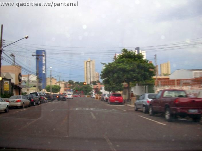 2704_geocities_ws_pantanal.jpg