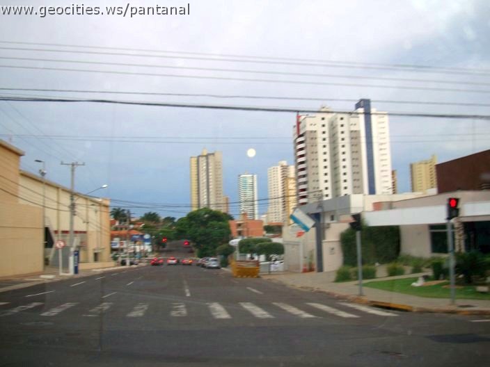 2705_geocities_ws_pantanal.jpg