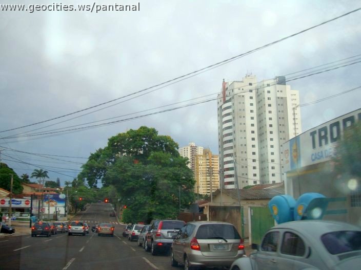 2706_geocities_ws_pantanal.jpg