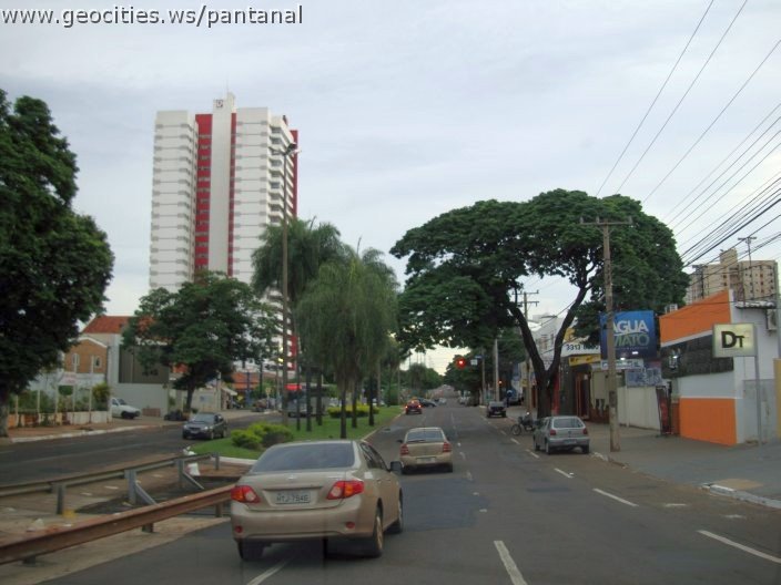 2708_geocities_ws_pantanal.jpg
