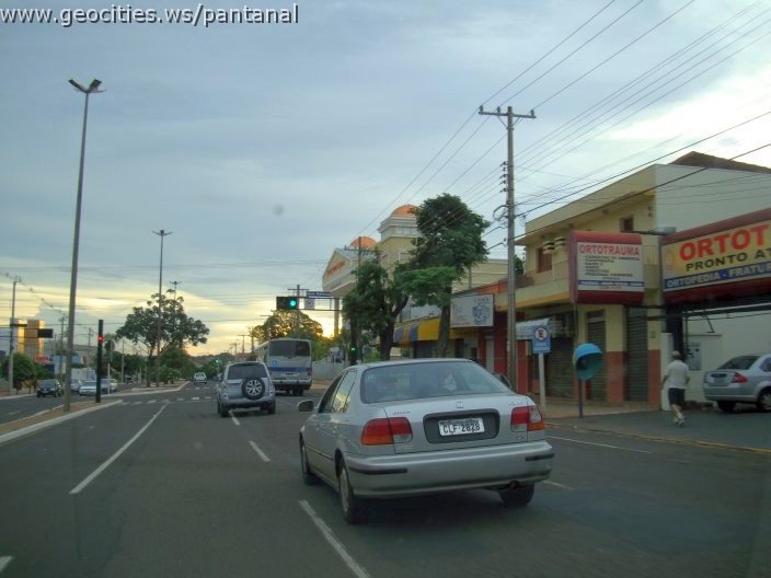 2714_geocities_ws_pantanal.jpg