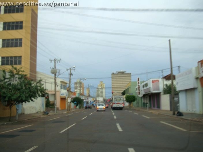 2723_geocities_ws_pantanal.jpg