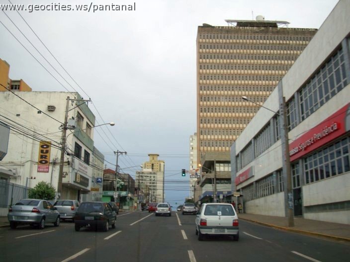 2727_geocities_ws_pantanal.jpg