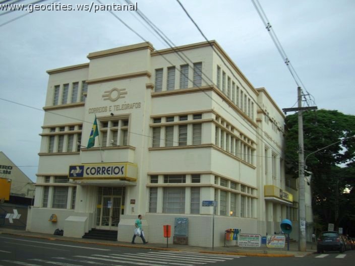 2734_geocities_ws_pantanal.jpg