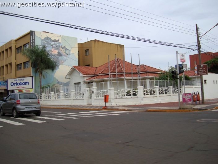 2738_geocities_ws_pantanal.jpg