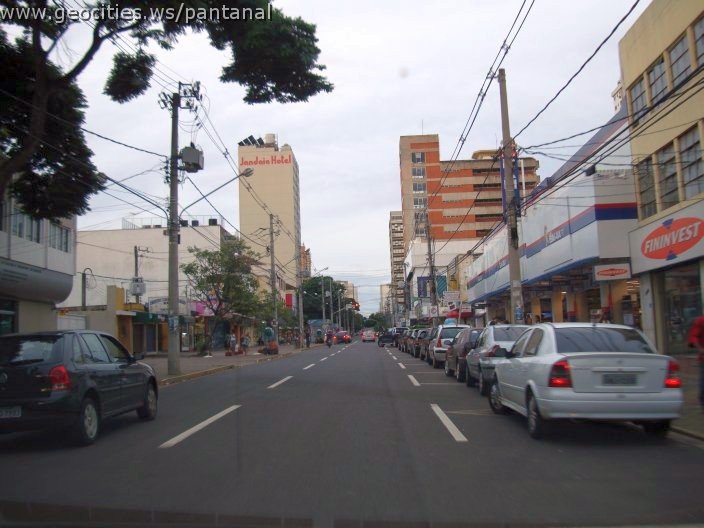 2739_geocities_ws_pantanal.jpg