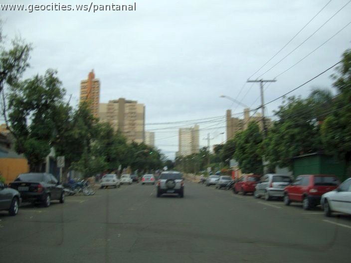 2745_geocities_ws_pantanal.jpg