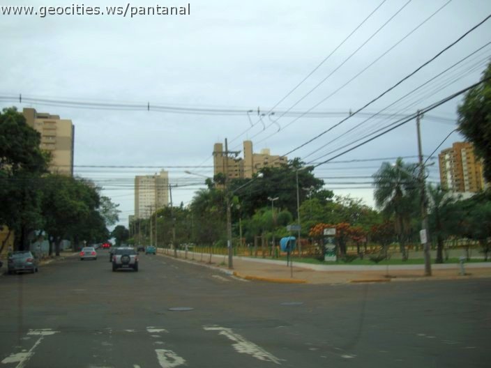 2746_geocities_ws_pantanal.jpg