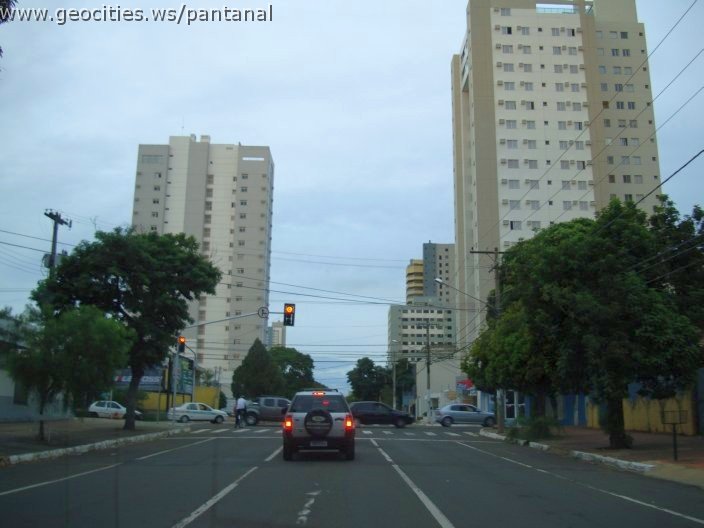2748_geocities_ws_pantanal.jpg