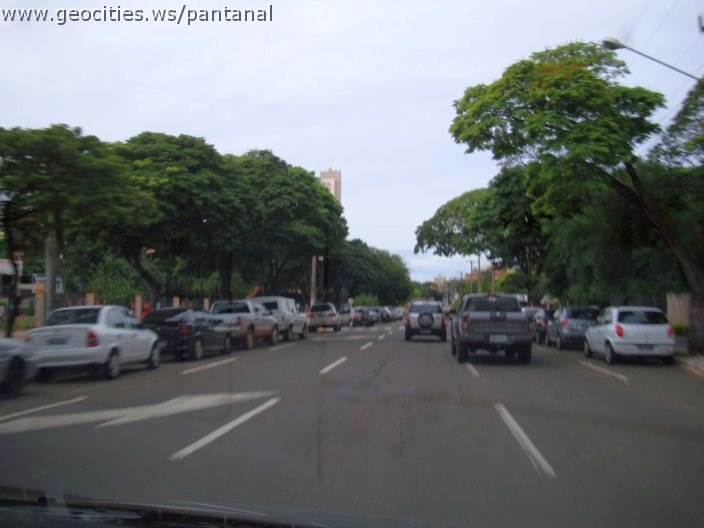 2753_geocities_ws_pantanal.jpg