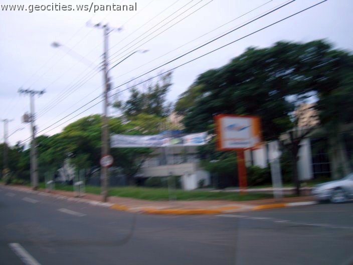 2754_geocities_ws_pantanal.jpg
