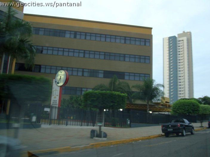 2756_geocities_ws_pantanal.jpg