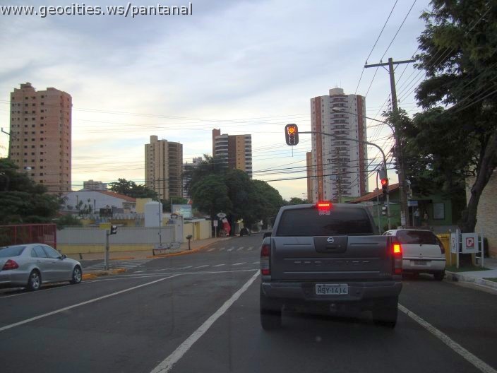 2759_geocities_ws_pantanal.jpg