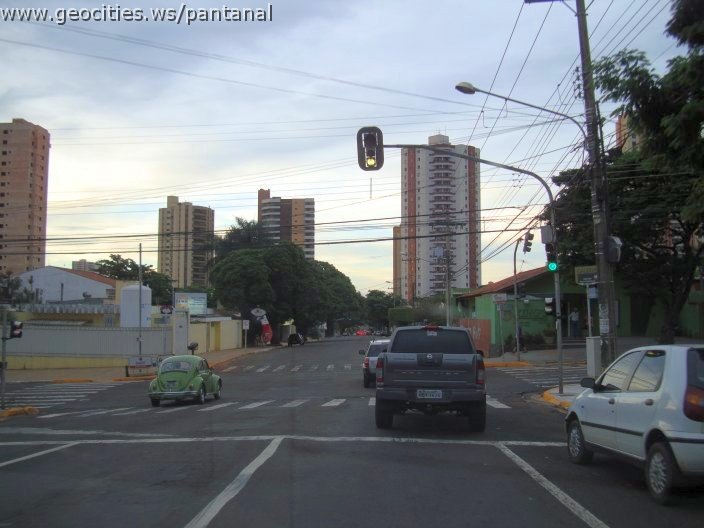 2760_geocities_ws_pantanal.jpg