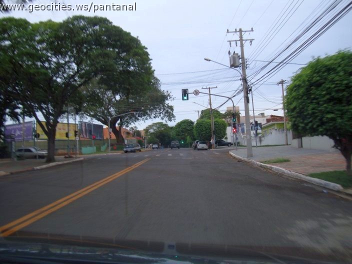 2762_geocities_ws_pantanal.jpg