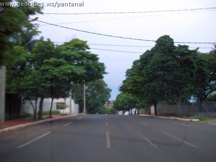 2763_geocities_ws_pantanal.jpg