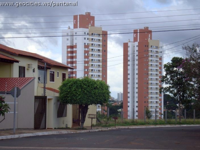 2764_geocities_ws_pantanal.jpg