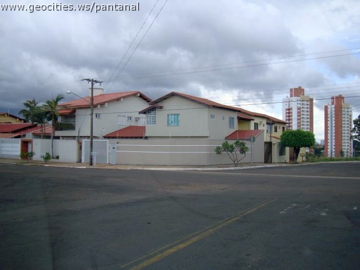 2765_geocities_ws_pantanal.jpg
