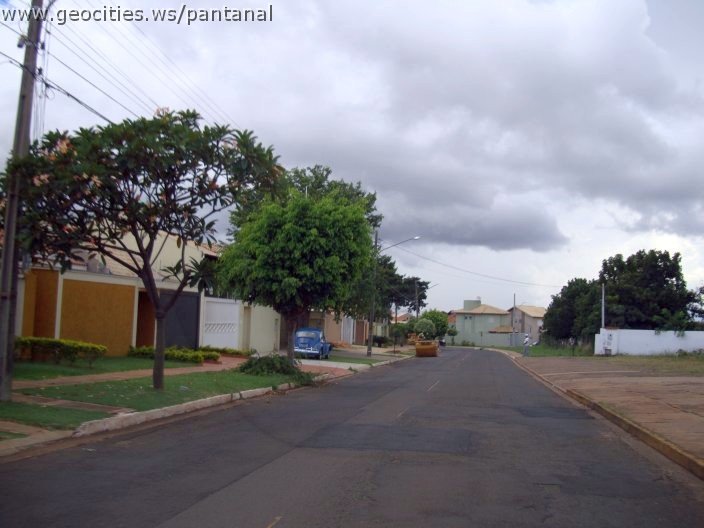 2766_geocities_ws_pantanal.jpg