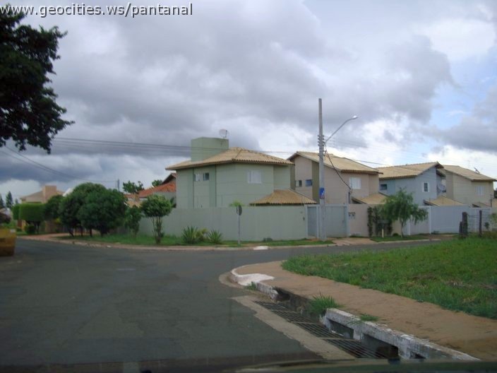 2767_geocities_ws_pantanal.jpg