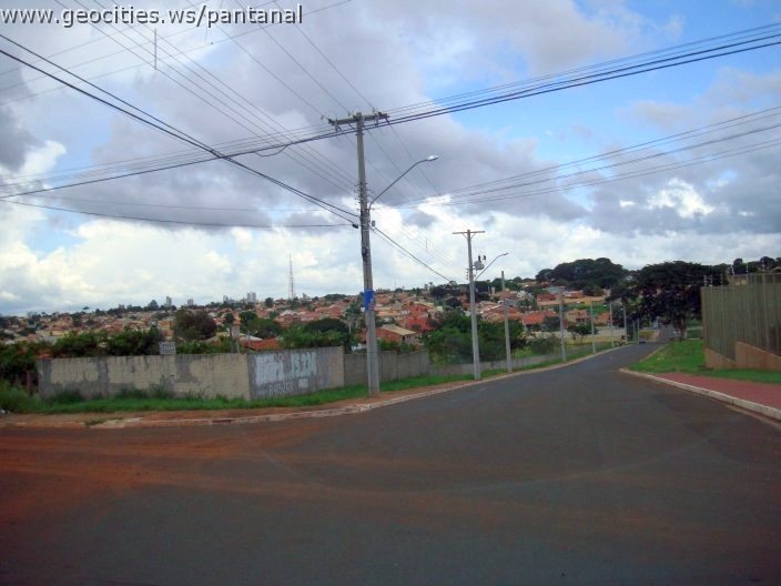 2769_geocities_ws_pantanal.jpg