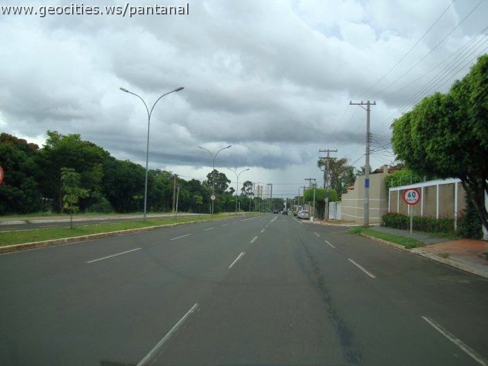 2771_geocities_ws_pantanal.jpg
