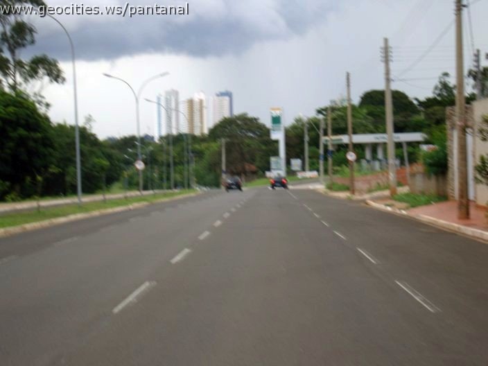 2772_geocities_ws_pantanal.jpg