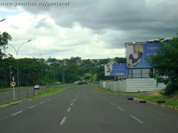 2773_geocities_ws_pantanal.jpg