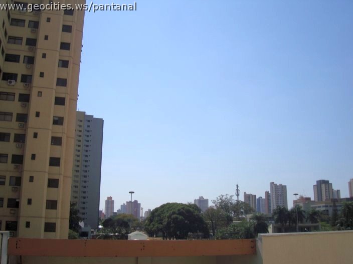 2777_geocities_ws_pantanal.jpg
