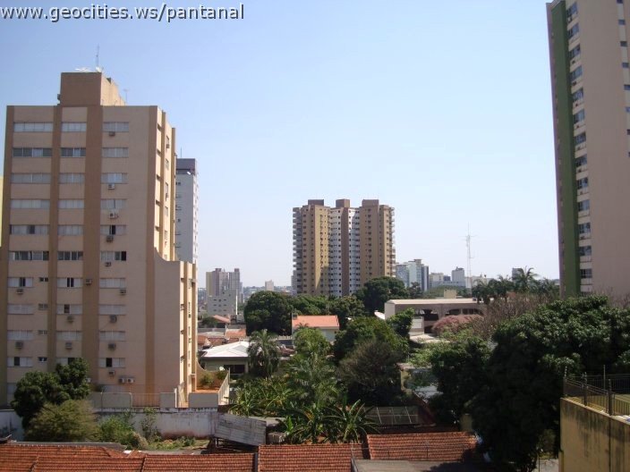 2779_geocities_ws_pantanal.jpg