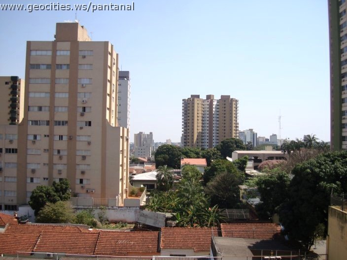 2780_geocities_ws_pantanal.jpg