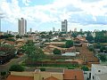 2677_geocities_ws_pantanal