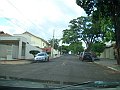 2698_geocities_ws_pantanal