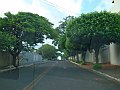 2699_geocities_ws_pantanal