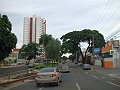 2708_geocities_ws_pantanal