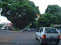 2720_geocities_ws_pantanal
