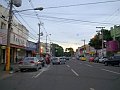 2733_geocities_ws_pantanal