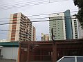 2751_geocities_ws_pantanal