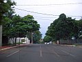 2763_geocities_ws_pantanal