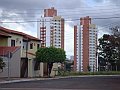 2764_geocities_ws_pantanal