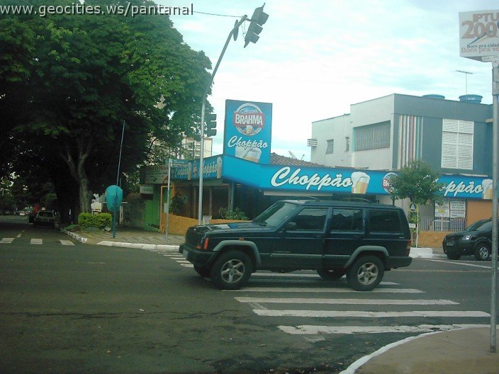 2791_geocities_ws_pantanal.jpg