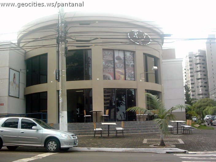 2795_geocities_ws_pantanal.jpg