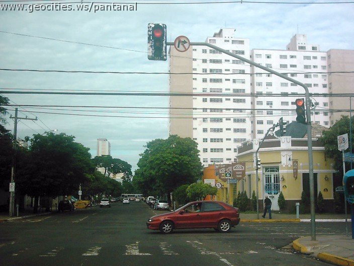 2800_geocities_ws_pantanal.jpg