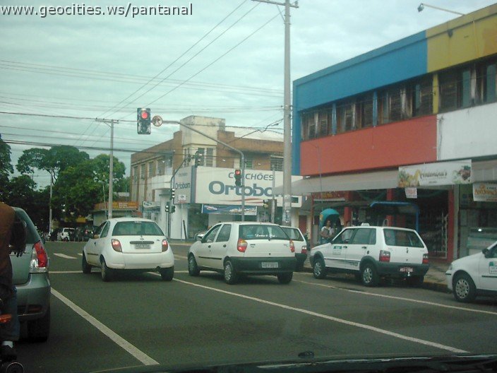 2805_geocities_ws_pantanal.jpg