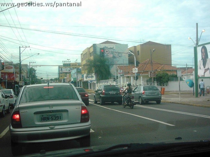 2807_geocities_ws_pantanal.jpg