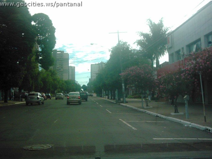 2815_geocities_ws_pantanal.jpg