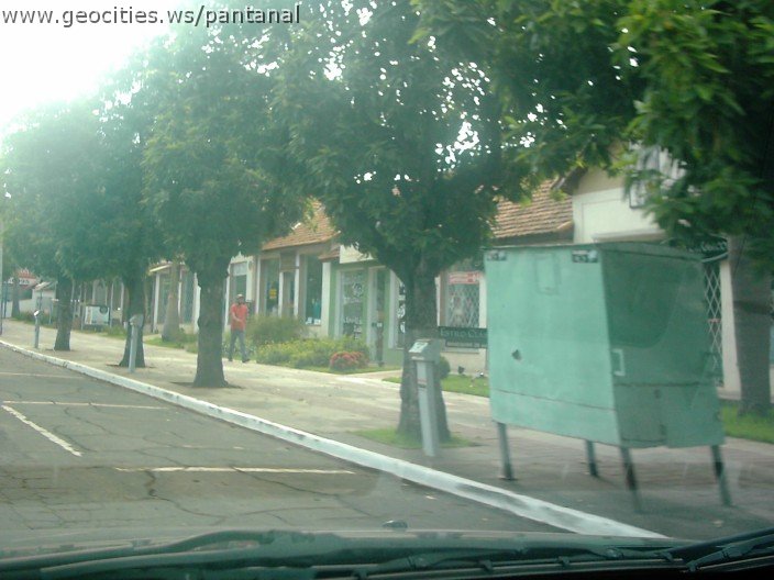 2816_geocities_ws_pantanal.jpg