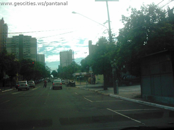 2817_geocities_ws_pantanal.jpg