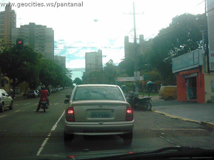 2818_geocities_ws_pantanal.jpg